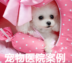 <strong>竞价托管外包账户搭建与优化</strong>